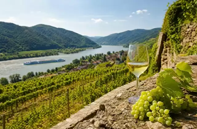 Wachau wines