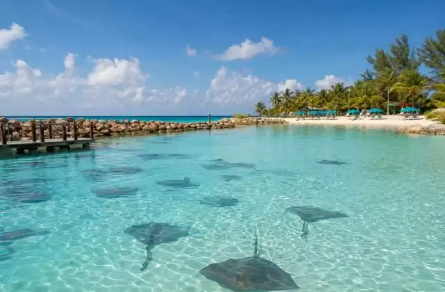 At Great Stirrup Cay (NCL)