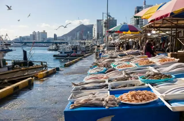 Busan