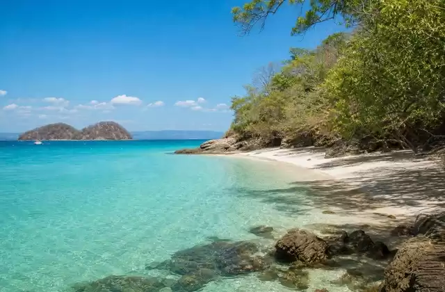 On Tortuga Island