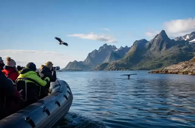 In the Lofoten archipelago