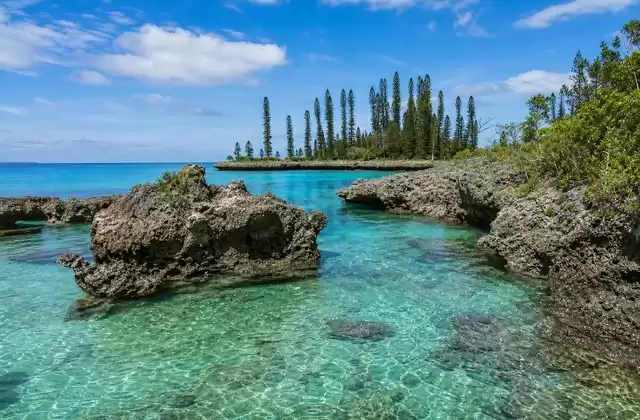 On the Isle of Pines
