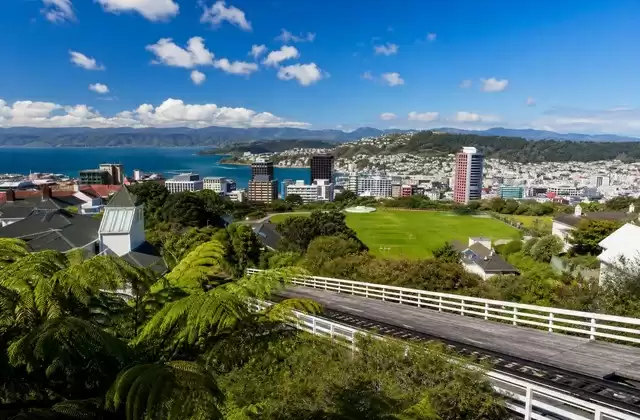 In Wellington