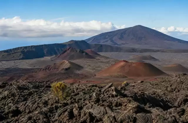 On Réunion
