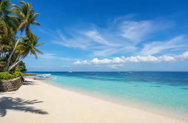 In Panglao