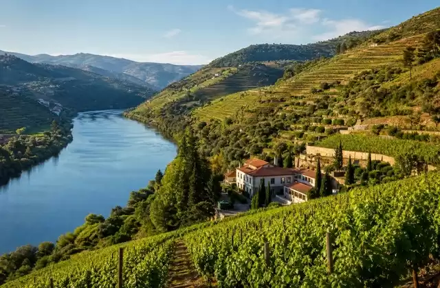 In the Douro