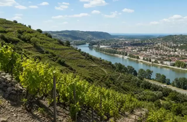 In Tain-l'Hermitage