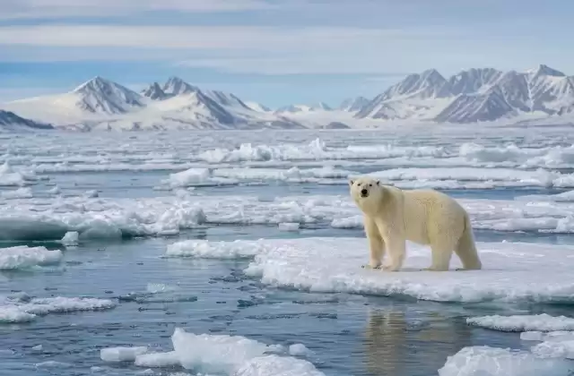 In pack ice areas