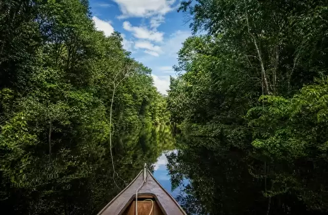 Cruising the Rio Negro