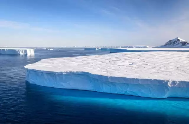 The tabular icebergs of the Weddell Sea