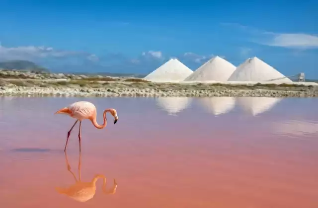 Pekelmeer salt flats