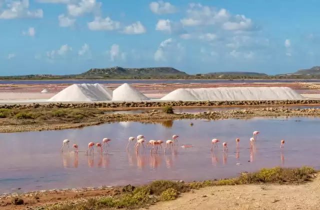 Pekelmeer salt flats