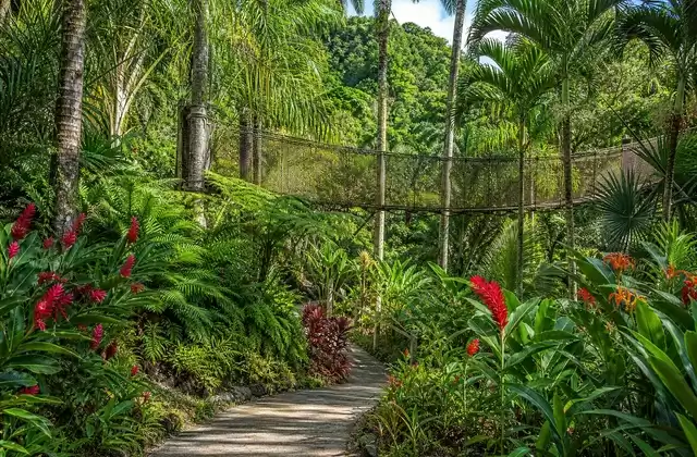 Balata Garden