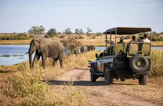 Land safari in Chobe