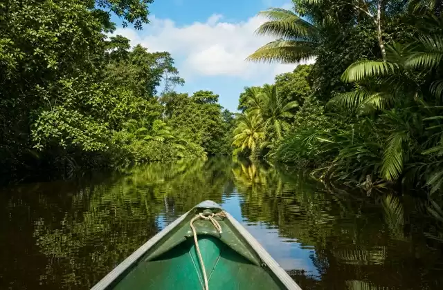 Tortuguero canals