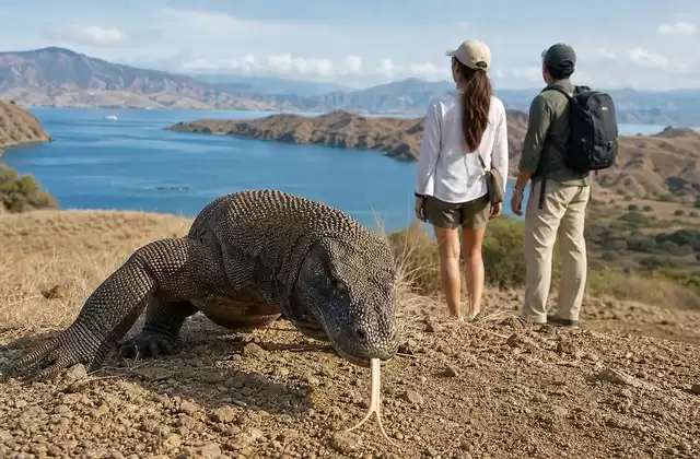 Komodo National Park