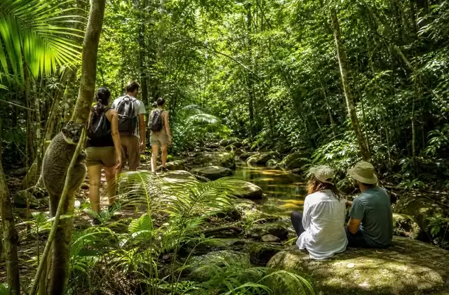 Nahampoana Reserve