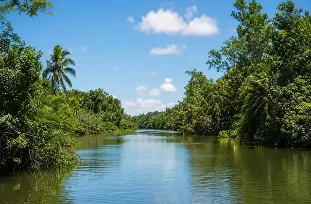 Pangalanes Canal
