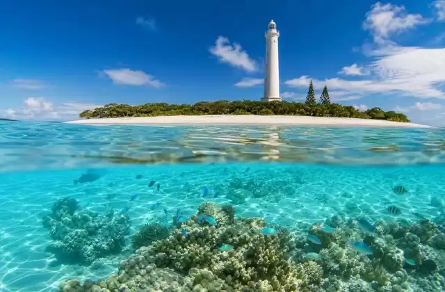 Amédée Island
