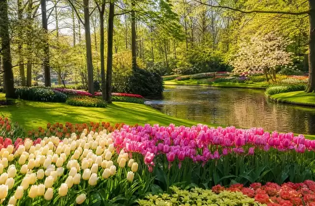 The Keukenhof