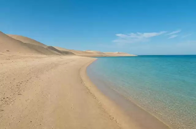 Sealine