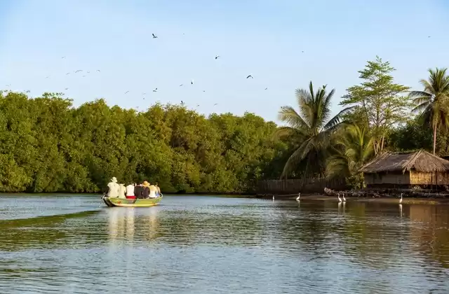 Sine-Saloum Delta
