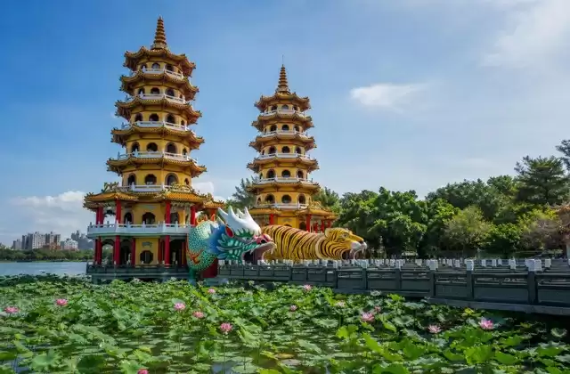 Lotus Pond