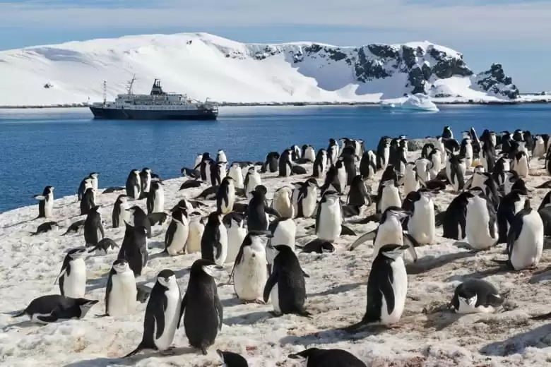 South Shetland Islands